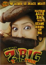 2 Big 2 Be True 1