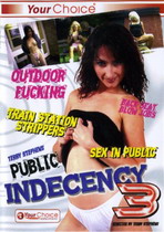 Public Indecency 3