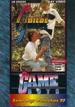 Game Boys Collection 20
