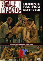 Bound In Public: Dominic Pacifico Destroyed