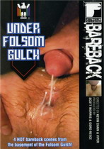 Under Folsom Gulch