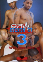 Raw Dickin' It 3: Harder, Deeper, Wetter